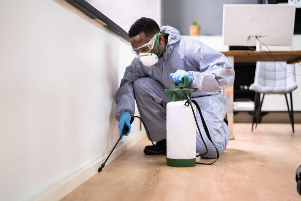 Best Fumigation Services  in Bradford, TN